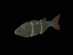Common rudd / three-part 12cm bait for 3d print