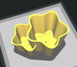 Double Star Pot