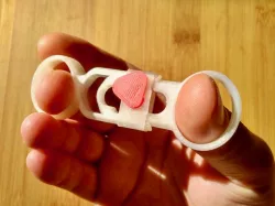 Fidget Toy