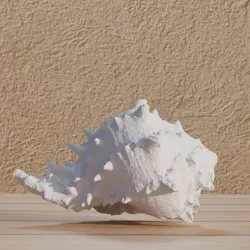 File : Shell reproduction - Conch shell in digital format