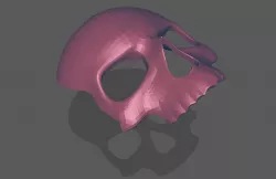 Full Face Ghost Mask