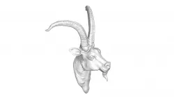 Goat Head 3D MODEL