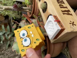 GRINDER SpongeBOB / BOB SPONGEBOB BITTER