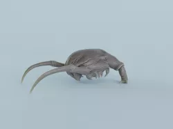 Headcrab | Half life