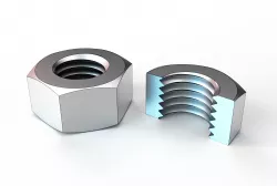 Hex Nut