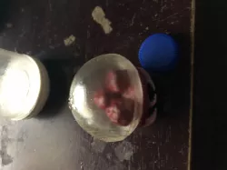 Infant Metroid