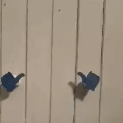 Kitchen roll and toilet roll  LIKE holder