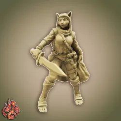Lace the Tabaxi Rogue