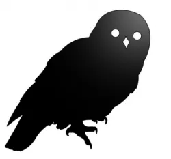 Owl wall art