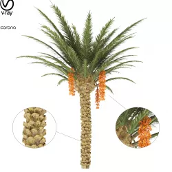 PALM TREE