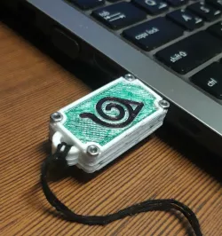 Pendrive Musical Case