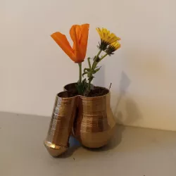 Penis Flower pot