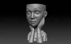 prathvi head planter