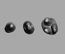 Root Canal Teeth for Practice 10 models