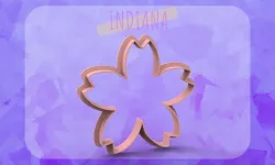 Sakura flower cutter