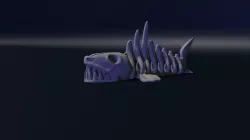 Shark Skeleton