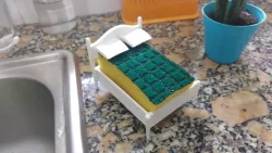 Sponge bed