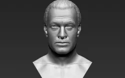 Steven Seagal bust 3D printing ready stl obj formats
