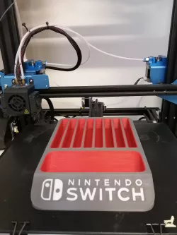 Switch game storage
