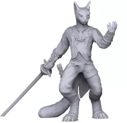 Tabaxi duellist (rework of PollyGrimms model)