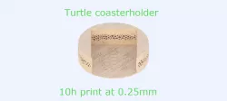 Turtle coasterholder (voronoi)