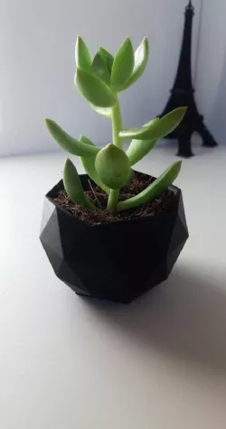 Vase LowPoly Ball