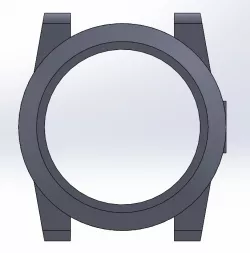 Watch case