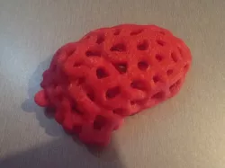 Anatomical Heart (Voronoi Style)