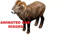 Animated and Rigged 3D Ram Animal Low-poly  3D model