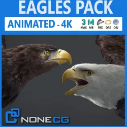 Animated Eagles 3D model