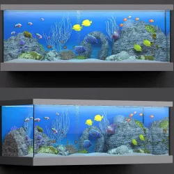 aquarium 3D model