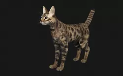 Bengal Cat Low-poly  3D model