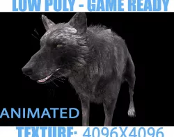 Black Wolf animated Low-poly  3D model