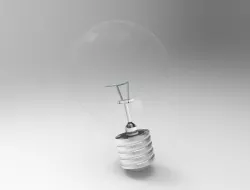 Bulb