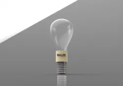 bulb