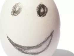 Egg