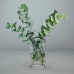 Eucalyptus in a glass vase 3D 3D model