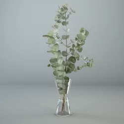 Eucalyptus in a glass vase 3D model 3D model