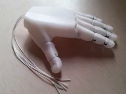 Flexy-Hand