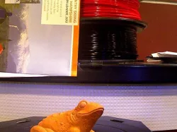 Frog Toad Scan