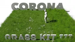 Grass Kit III for C4D and Corona render 3D model