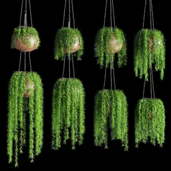 Hanging plants in pots on a chain 8 models 3D model