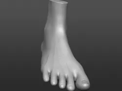 Human 3D foot model 3D model