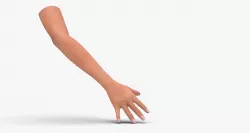 Human arm and nails 3D model