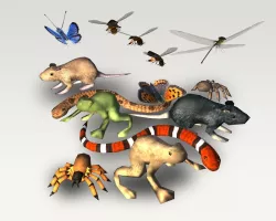Low Poly Critter Pack Low-poly  3D model