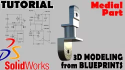 Medial Part