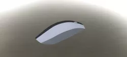 Mouse