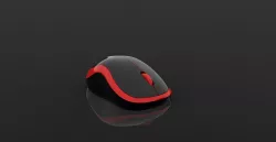 Mouse