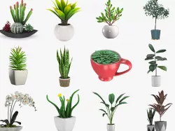 Pot Plant 12 3D models 3D model