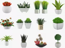 Pot Plant 12 3D Models 3D model